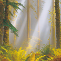 Inject the canvas with a cinematographic view of the enigmatic Oregon coast, shrouded in a diaphanous veil of fog. The grandeur of towering spruce trees, their tempest-green crowns reaching out to the heavens, commands the frame. The forest floor is a soft, mossy carpet, dappled with autumn leaves. Highlight this narrative in the style of Baroque art accentuating every detailed silhouette, every play of light.